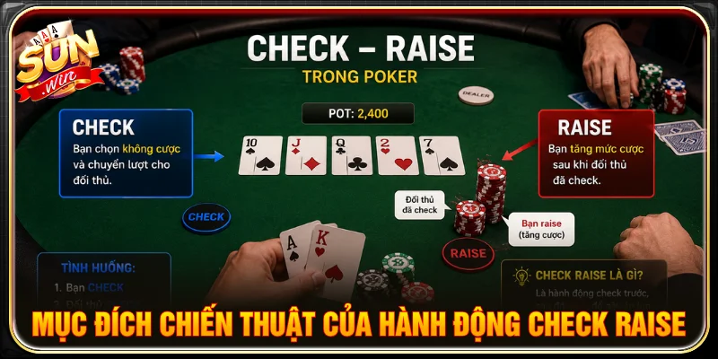 Check raise là gì và có mục đích là nhằm gây áp lực cho đối thủ
