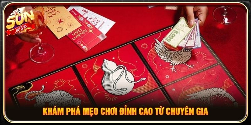 Khám phá mẹo chơi đỉnh cao từ chuyên gia