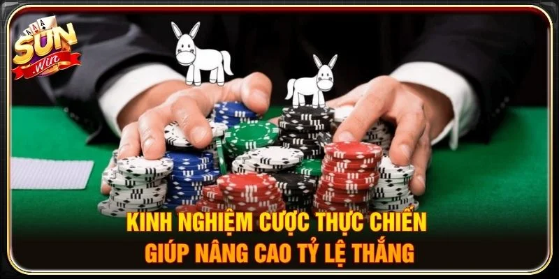 Kinh nghiệm cược thực chiến giúp nâng cao tỷ lệ thắng